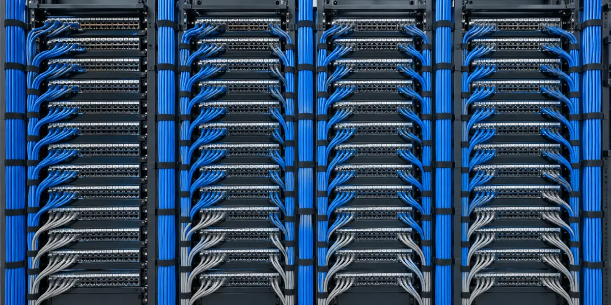 IT & Software Services